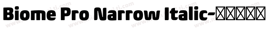 Biome Pro Narrow Italic字体转换